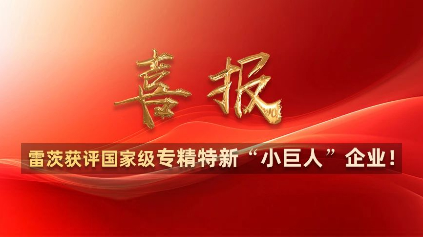 喜報：雷茨獲評國家級專精特新“小巨人”企業(yè)！